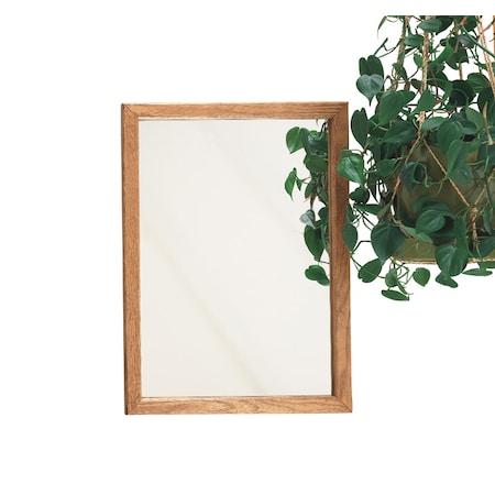 Zenith Metal Zenna Home 21-3/4 in. H X 16.13 in. W X 4.5 in. D Rectangle Oak Medicine Cabinet K268